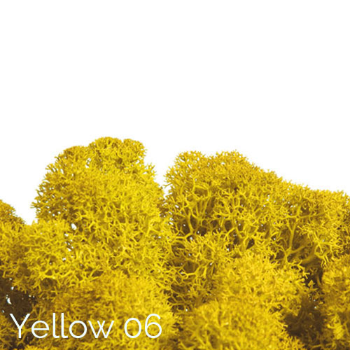 Polarmoss Yellow